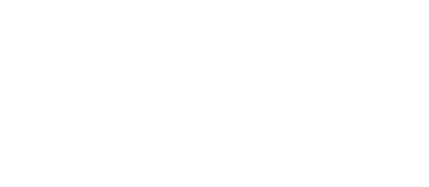 DUDE Wipes